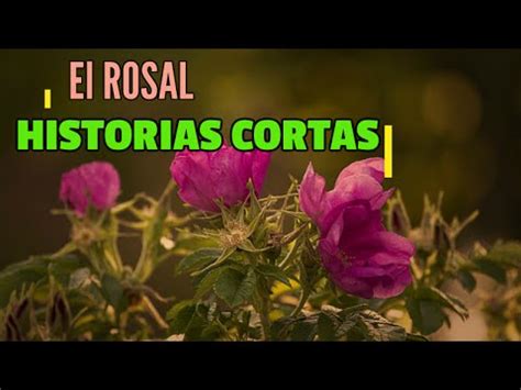 Corta El Rosal